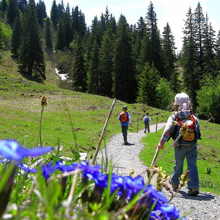 Diese Einfache Unterkunft- Bergheimat Ist Nur Fuer Backpacker- Rucksacktouristen Und Radfahrer - Huettenfeeling Im Backpackerhoues- Ganz Einfach - Ganz Unkompliziert - Ganz Relaxd Villa Linthal Dış mekan fotoğraf